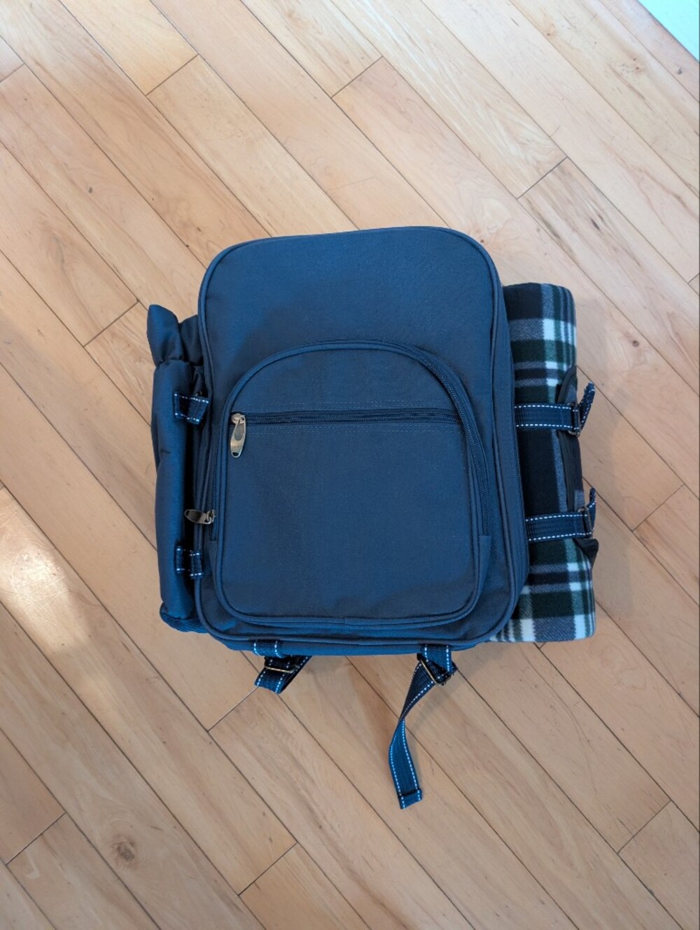 Deluxe Picnic Backpack (Never Used)